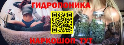 МДПВ Дубна