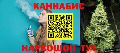 МДПВ Дубна