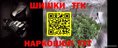 МДПВ Дубна
