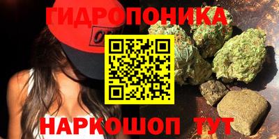 МДПВ Дубна