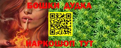 МДПВ Дубна