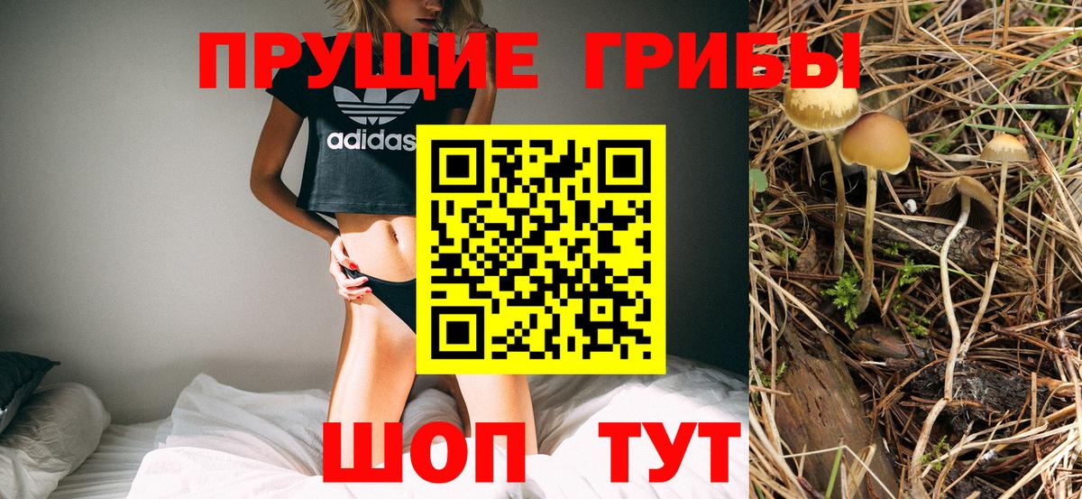 Галлюциногенные грибы Magic Shrooms Шелехов