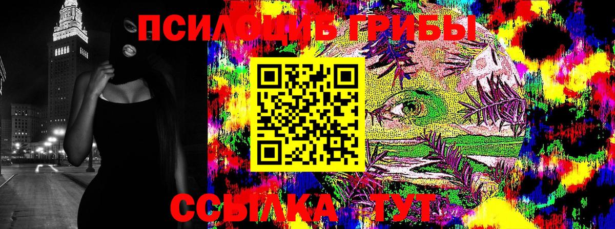 продажа наркотиков  Галлюциногенные грибы MAGIC MUSHROOMS  Вход с VPN  Галлюциногенные грибы GOLDEN TEACHER  Шелехов 